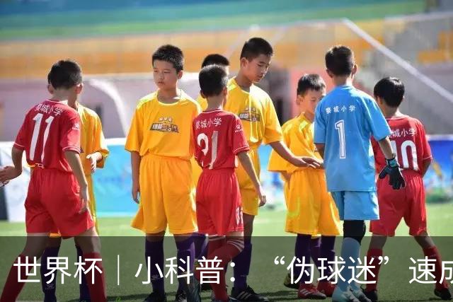 世界杯｜小科普：“伪球迷”速成手册